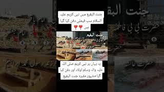 نبی کریمﷺ فیملی sallam islamicquotes lovestatus salm islamicsayings love salla sallah love [upl. by Narah]