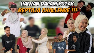 WHAT IN THE BOX CHALLENGE AI TEAM  KANDA MIMI N4NGIS TER0K… [upl. by Ahsasal]