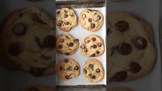 The Best Chocolate Chip Cookie Recipe Ever [upl. by Curnin]