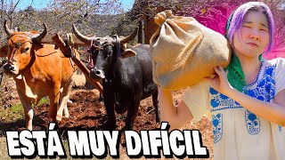 CAMPO MEXICANO ES ASí SALÍ REGAÑADA🫠 l Chingu Amiga [upl. by Tillo668]