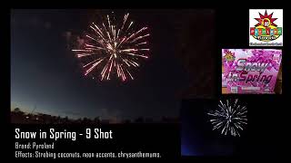 2018 Pyroland Fireworks Product Demo [upl. by Schenck]