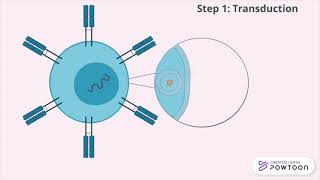 Use of CRISPRCas9 in CART cell Therapy [upl. by Gniy254]