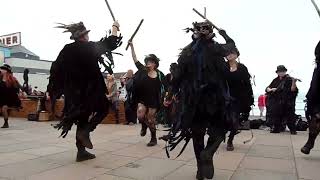 Beltane Border Morris  Huntress  Teignmouth Folk Festival  23 Jun 24 [upl. by Akilam606]