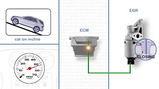 EGR Position Signal Voltage Low [upl. by Ytsur]