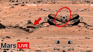 NASA Mars Rover Perseverance Sent Latest Most Fascinating Shocking 360° Video Footage of Mars Life [upl. by Oigile]