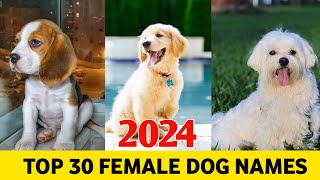 Top 30 Female Dog Names 2024  Female dog mame  new dog Names [upl. by Ennaecarg683]