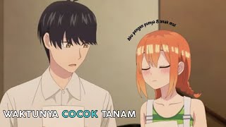 gotoubun no hanayome honeymoon arc Trailer [upl. by Arymahs]