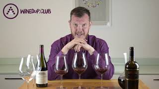 Riedel Performance Range Red Wine Glasses Review [upl. by Ryter]