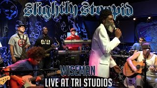 Wiseman  Slightly Stoopid ft Don Carlos Live at Robertos TRI Studios [upl. by Nevak]