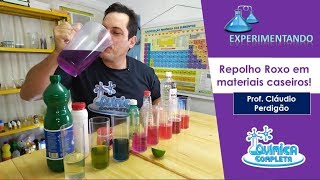 REPOLHO ROXO INDICADOR DE PH TESTANDO MATERIAIS DE CASA Prof Cláudio Perdigão [upl. by Chor]