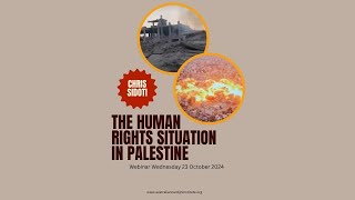 Chris Sidoti  The Human Rights Situation in Palestine [upl. by Enirahtak]