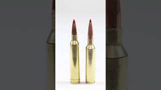 7mm PRC VS 7mm REM Mag What one you picking 7mm 284 shortvideo shorts hornady remington prc [upl. by Annais]