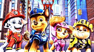 PAW PATROL Puzzle 🧩Holz Puzzle für Kinder [upl. by Akemrej]