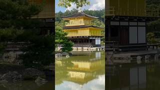 Kinkakuji Temple Golden Pavilion and Heianjingu KyotoJapan japantravel shorts [upl. by Minardi]