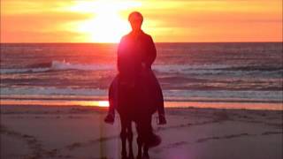 IJslanders tölten op het strand bij zonsondergang Terschelling [upl. by Ytsirk335]