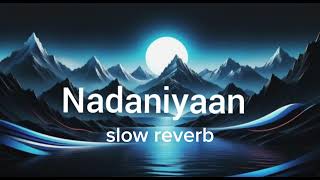 Nadaniyaan slow reverb song trending 12 🔥🔥 [upl. by Eneleahcim423]