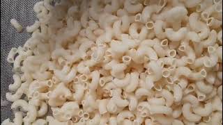 Indias no 1 best quality pasta machine manufacturers Growmax international 9938956007 [upl. by Trebeh]