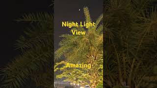 Night Light Celebration Sight Seen Chandigarhparty nightshorts nightlight nightparty [upl. by Balf]