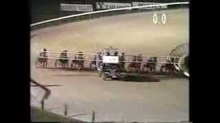 Moonee Valley trots 1996 [upl. by Eves]