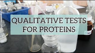 Qualitative Tests for Proteins [upl. by Sneve22]