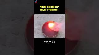 Alkali Metallerin Suyla Tepkimesi [upl. by Mccormick]