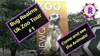 UK ZOO TOUR  Newquay Zoo Meet the ANIMALS [upl. by Rianna]