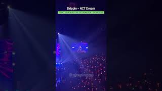 Drippin  NCT Dream 엔시티드림  2024 NCT DREAM WORLD TOUR THE DREAM SHOW 3 DREAM SCAPE [upl. by Ashwin]