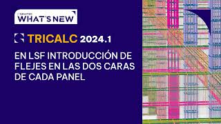 GRAITEC Tricalc 20241 En LSF introducción de flejes en las dos caras de cada panel [upl. by Lette601]