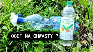 Ocet na chwasty  czy warto stosować Naturalny sposób na chwasty [upl. by Elery]