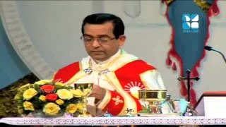 Paattu Kurbana  SyroMalabar Qurbana Holy Mass in Malayalam  november 2012 [upl. by Adlog]