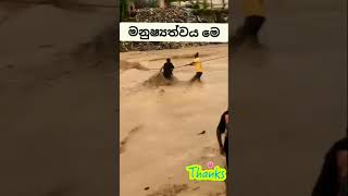 හිතේ හයියට මනුස්සකම එකතු උනාම 🙏travel trending srilanka [upl. by Alecram]