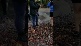 Nothing like rockhounding the frigid waters of Lake Superior on a cold fall day [upl. by Lesna]