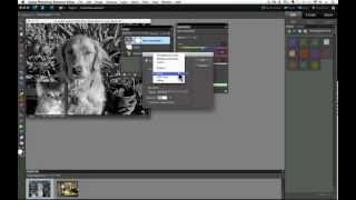 Adjustment Layers in Photoshop Elements Part 1 [upl. by Olivann]