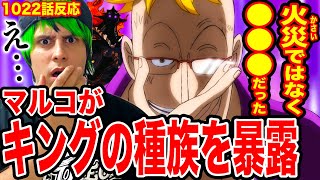 【最新話ワンピース1022話初見読み】キングの種族をマルコが衝撃暴露！火災のキングの正式名称判明！ゾロがついに…！四皇と戦闘中のキッドに異変ネコマムシの復讐【ワンピースネタバレ】【ワンピース考察】 [upl. by Novikoff445]