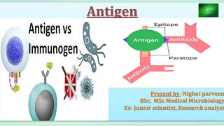 Antigen  antigen and immunogen  what is antigen  antigen antibody microbiology microbiology [upl. by Arehsat]