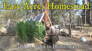 Easy Acres Homestead  Off Grid Available Land Locating Tips amp Considerations BEFORE You Buy USA [upl. by Swane]