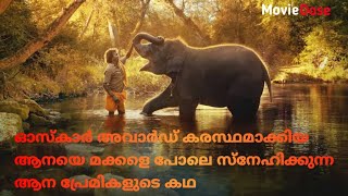 The elephant whisperers Malayalam movie explanation movie dose  Malayalam movie explanation [upl. by Shulock]