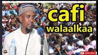 sh kenyaawi caffi walalkaa [upl. by Almallah]