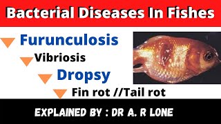 JKSSBBacterial Diseases in FishesFish Diseases amp Their Control [upl. by Arihat837]