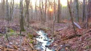 Gold Prospecting in Georgia  Pickers and Small Gold [upl. by Obola130]