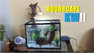 Inspirasi Menghias Aquarium dan Tutorial Singkat Menghilangkan Zat Tanin Kayu di Aquarium [upl. by Mindy]