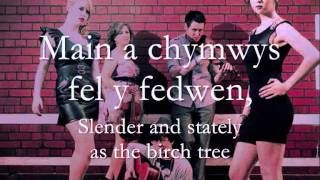 Blodaur Flwyddyn  Calan geiriau  lyrics [upl. by Amsa]