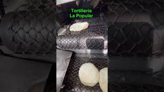 Tortillas Normal Taquera Masa Tostadas Totopos y Salsas [upl. by Kala371]