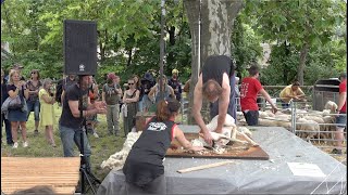 Fête de la transhumance au pays de la clairette Châtillon en Diois  Drôme  France 2023 [upl. by Quintana239]