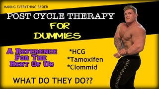 Post Cycle Therapy For Dummies  HCG Nolvadex and Clomid Explained [upl. by Adnilem]