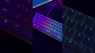 Razer Huntsman Mini in 2024 [upl. by Ttelrahc]