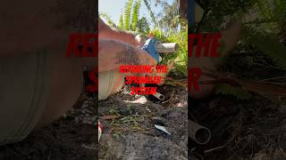 Domestic Duties Broken sprinkler gardening work florida fix [upl. by Solraced]