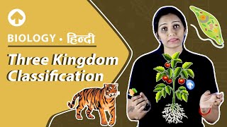 Three Kingdom Classification  Hindi  Biology [upl. by Joe]