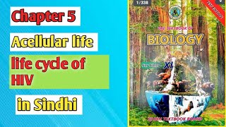 life cycle of HIV class 11 biology Sindh board [upl. by Ardnoik643]