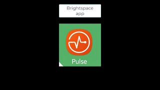 Brightspace PULSE APP Video [upl. by Perrins597]